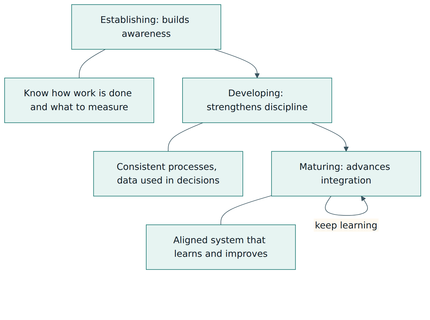 Figure 3 – The three Maturity Pathways build on one another, from awareness to discipline to integration.