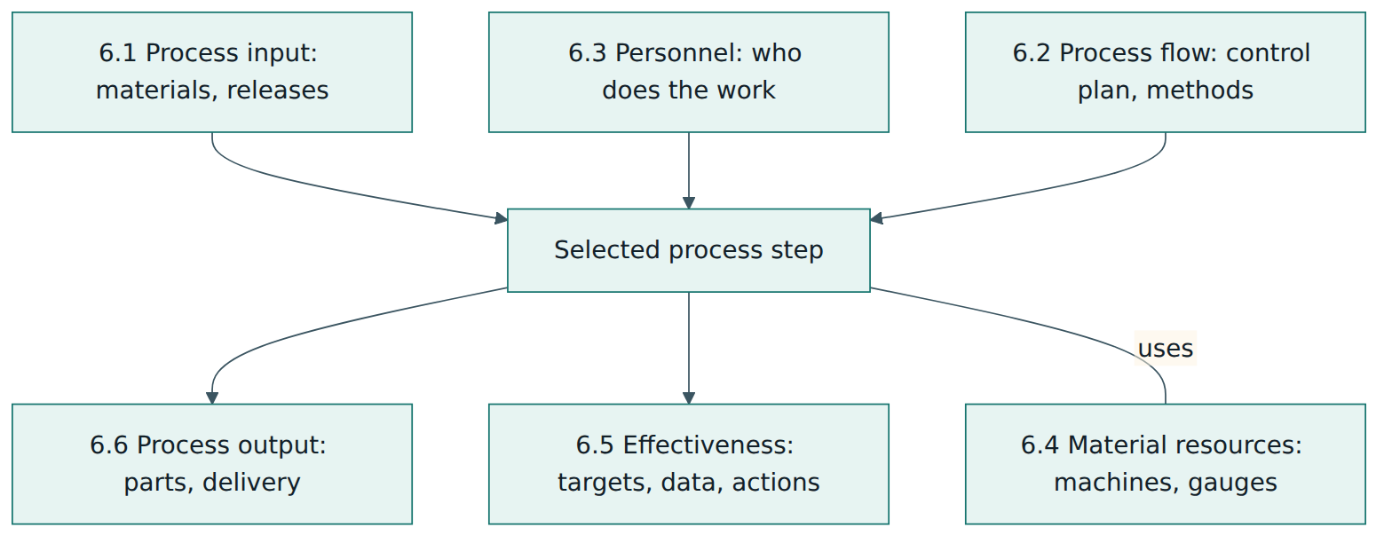 Figure 2 – The turtle model behind P6: each selected process step is examined from input, method, people, equipment, effectiveness and output.