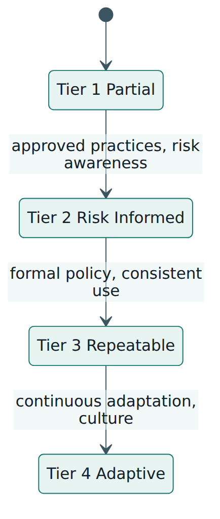 Figure 4 – The four Implementation Tiers form a progression, but moving up is justified only when current processes and resources are not enough for the organisation's risk.