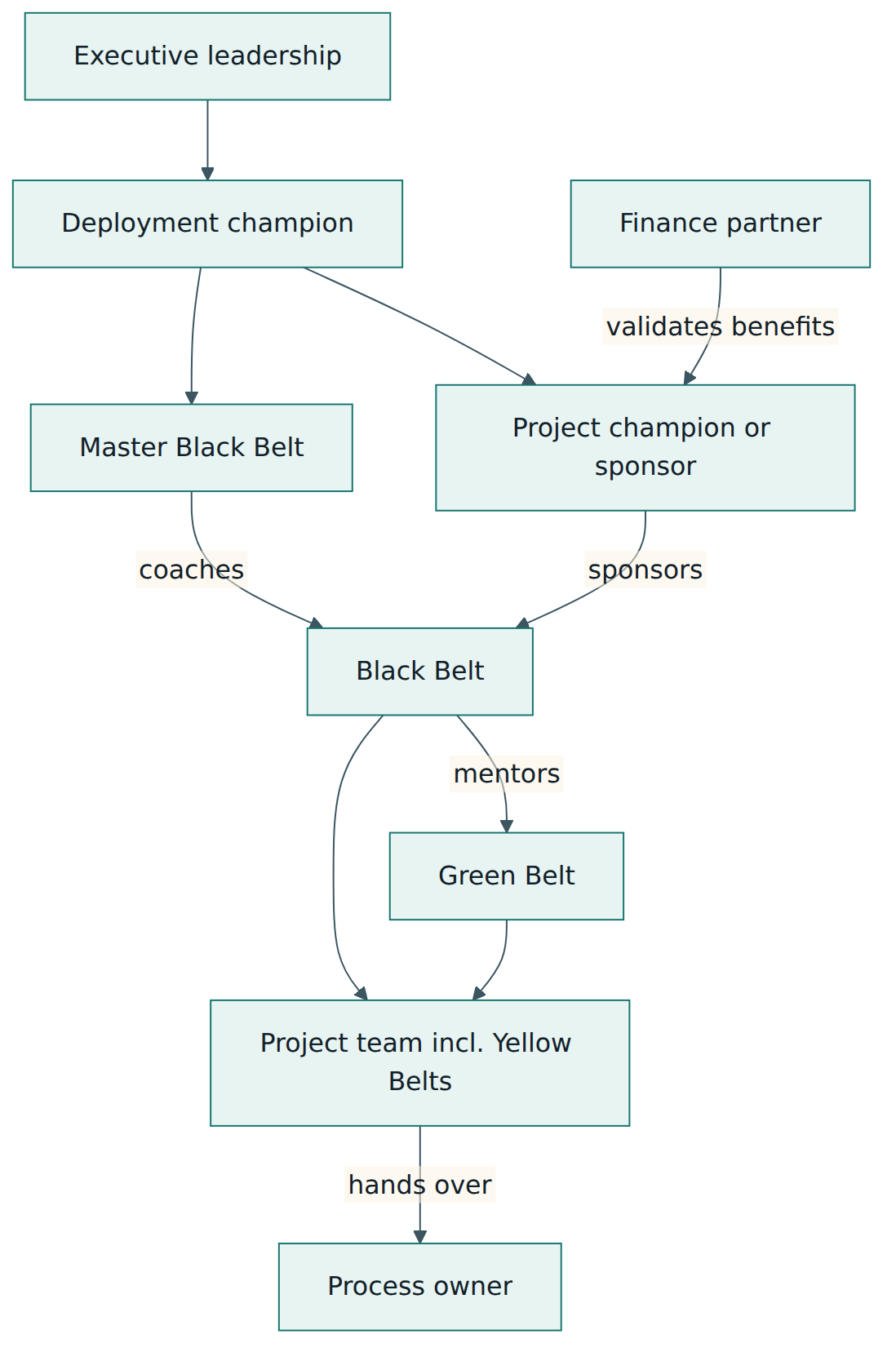 Figure 5 – A typical Six Sigma deployment: leaders and champions sponsor projects, belts lead and coach the work, and the process owner sustains the result.