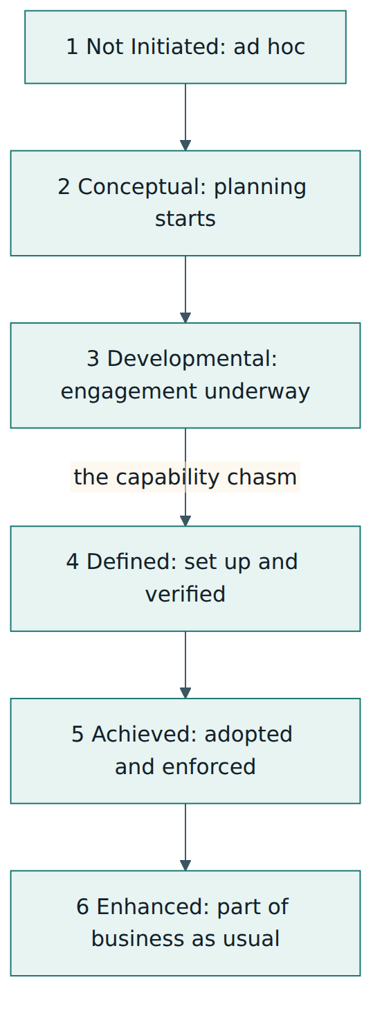 Figure 3 – The six DCAM scoring levels, with the large step between Developmental and Defined.